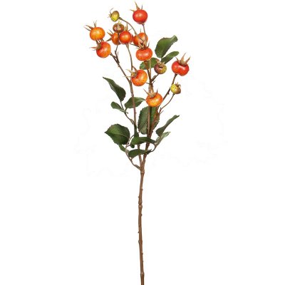 Nyponkvist orange 60 cm