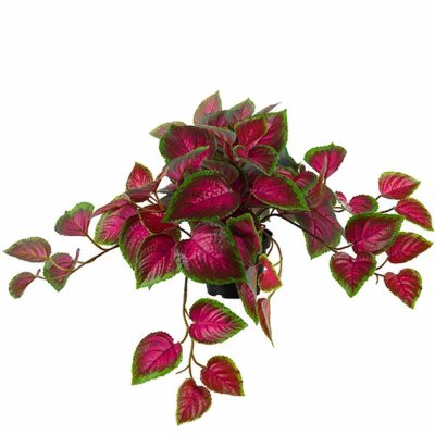 Palettblad i rosa - Konstgjord hängväxt från Mr plant - ca 25 cm hög