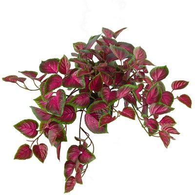 Konstväxt rosa palettblad hängväxt i plastkruka - 30 cm hög 50cm lång