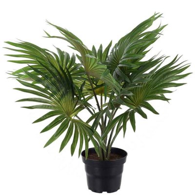 Konstgjord grön palm - lite mindre med utsvängda palmblad - i plastkruka - 35 cm hög