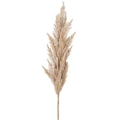 Pampasgräs i naturfärg - 120 cm hög