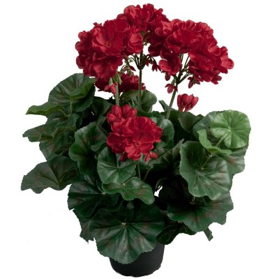 Röd pelargon i plastkruka - Konstväxt 35 cm hög