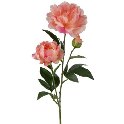 Orange, aprikos pion på kvist - Konstblomma 75 cm