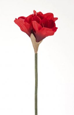 Plastblomma, konstväxt Amaryllis röd blomma