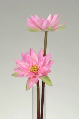 Rosa plastblomma, konstväxt - Lotusblomma 57cm