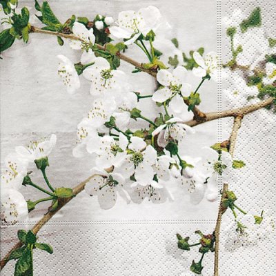 Servett med vita blommor och gröna blad från körsbärskvist