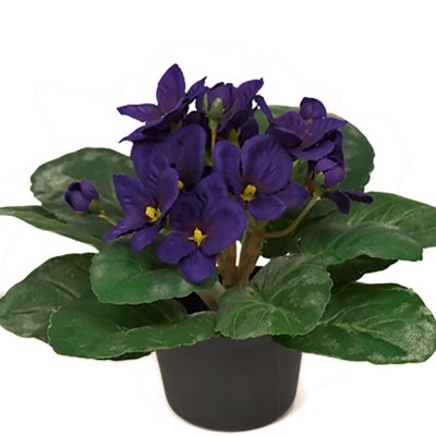 St Paula konstblomma med blå blommor - 15 cm hög