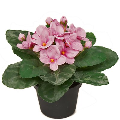 St Paula konstblomma med rosa blommor - 15 cm hög