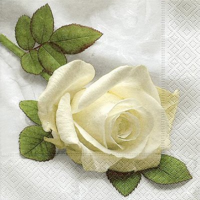 Servett, lunchservett med tryckt motiv med vit blomma - 33x33 cm