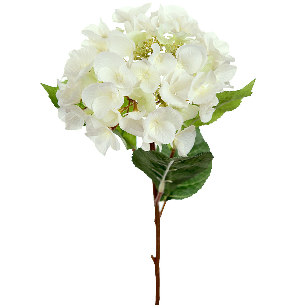 Hortensia Vit - 45 cm