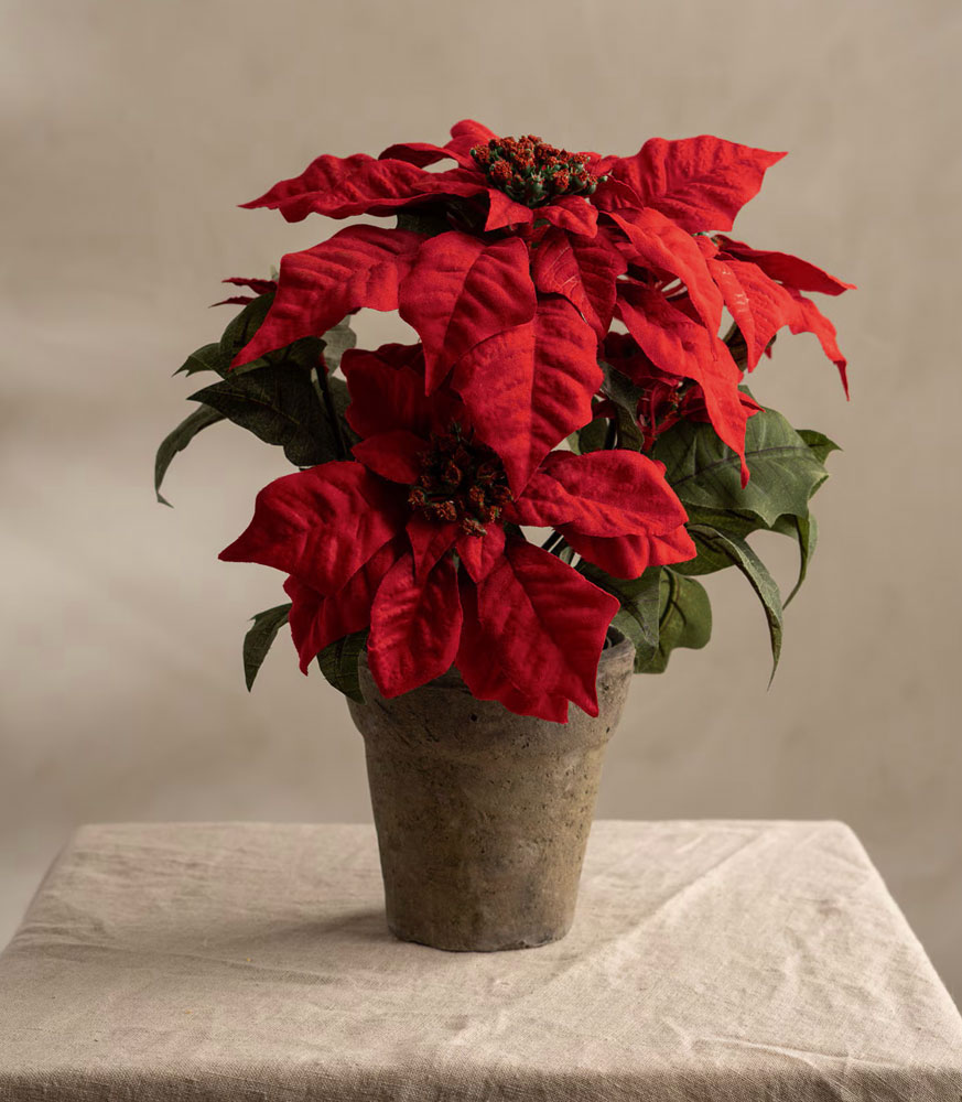 Konstgjord Julstjärna Mr Plant