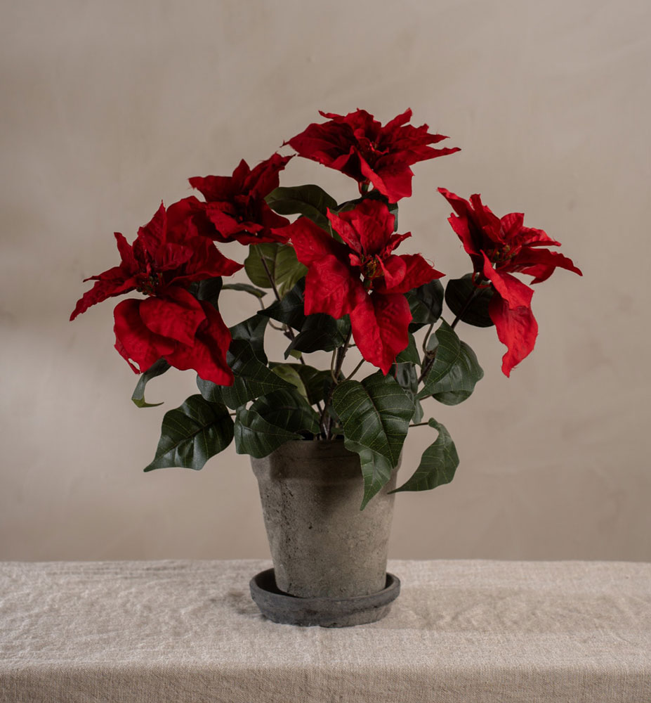 Konstgjord Julstjärna Mr Plant