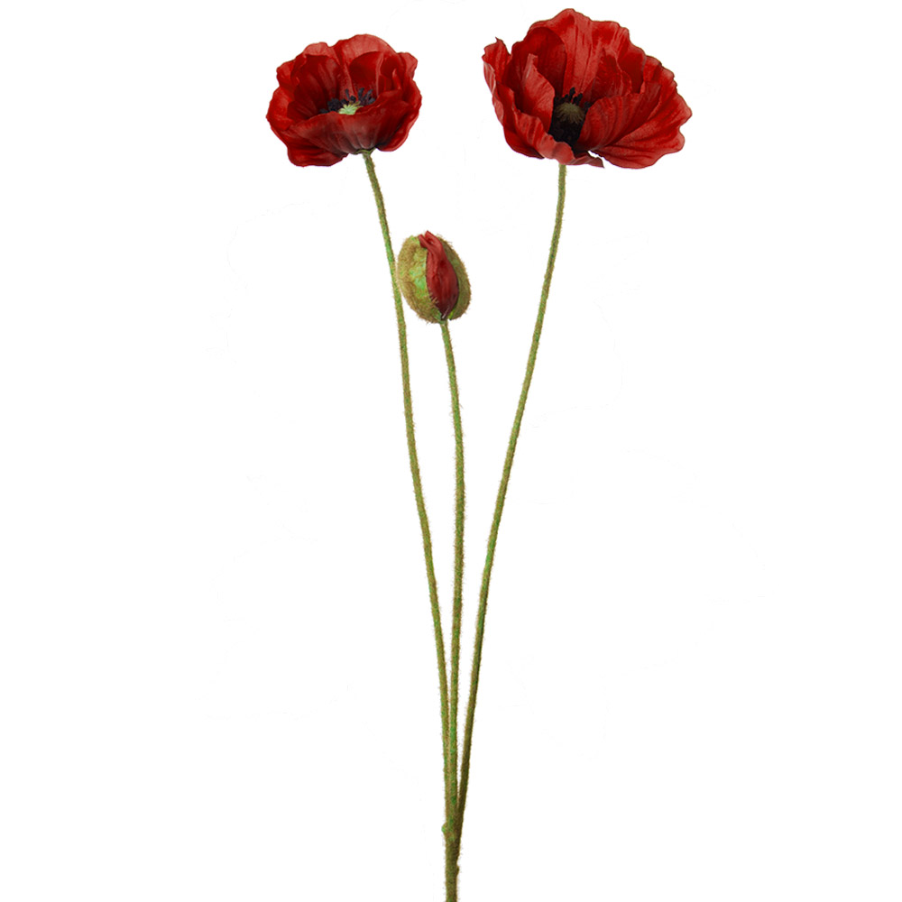Vallmo Röd - 75 cm - Discontinued - Hemshopen.se