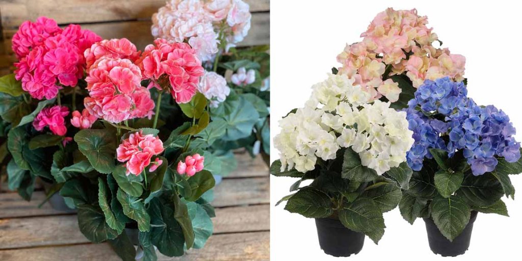 konstgjorda blommor och krukväxer från mr plant. Pelargoner och hortensia i vackra färger